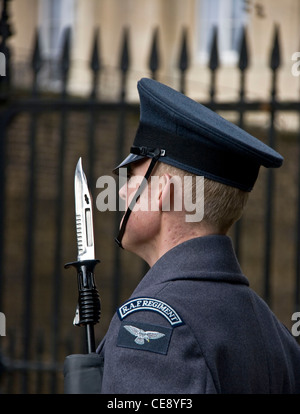 RAF Guardsman sul dovere di protezione al di fuori di Clarence House Londra Inghilterra Europa Foto Stock