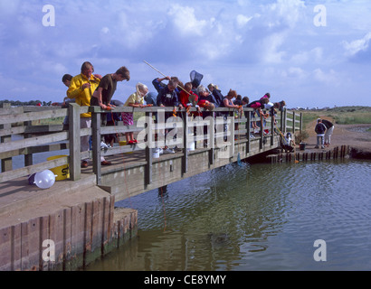 Canne ganci e reti da pesca in uso bambini che giocano cattura Granchio sul famoso ponte pedonale costiero a Walberswick Suffolk East Anglia Inghilterra Regno Unito Foto Stock