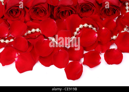 Red Rose con petali e pearl isolato su bianco Foto Stock