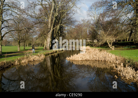 Canale alimentatore, Bute Park, Cardiff, Galles del Sud. Foto Stock