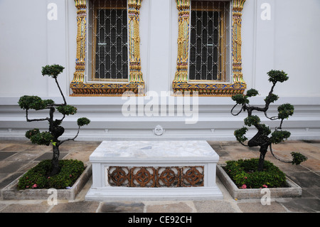 Alberi di Bonsai di Wat Suthat tempio di Bangkok, Tailandia Foto Stock