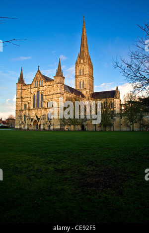 Golden luce della sera cade sulla facciata ovest e la guglia della Cattedrale di Salisbury, Wiltshire, Inghilterra, Regno Unito Foto Stock