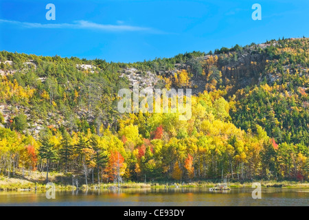 Brillanti colori autunnali vicino a Beaver Dam stagno nel Parco Nazionale di Acadia, Maine. Foto Stock