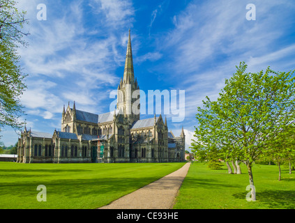 Cattedrale di Salisbury nella Cattedrale vicino Salisbury Wiltshire Inghilterra Regno Unito Europa Foto Stock