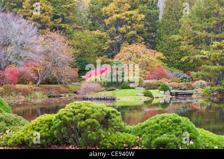 Autunno a colori in Asticou Azalea garden sull'isola di Mount Desert Maine. Foto Stock