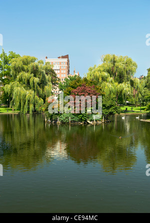 Il lago con cigni in Boston Public Garden di Boston, Massachusetts, USA. Foto Stock