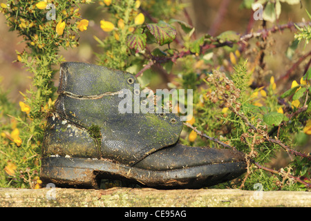 Un vecchio usurato in cuoio nero scarpa boot con moss erba che cresce su di essa una tavola di legno in legno cancello di recinzione Foto Stock