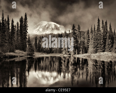 La riflessione sul lago con velatura su Mt. Rainier. Mt. Rainier National Park, Washington Foto Stock