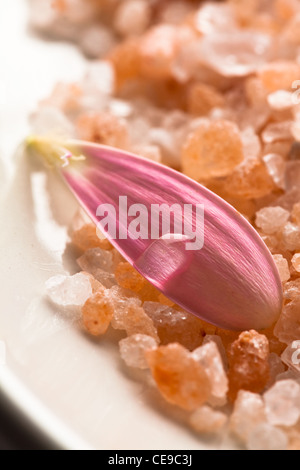 Rosa petalo a margherita con goccioline di acqua sul sale da bagno Foto Stock