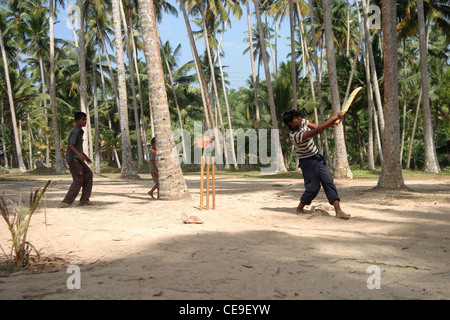 Un gruppo di giovani bambini giocare a cricket sotto l'ombra delle palme nel sud ovest dello Sri Lanka, vicino alla città di Matara. Foto Stock