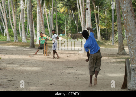 Un gruppo di giovani bambini giocare a cricket sotto l'ombra delle palme nel sud ovest dello Sri Lanka, vicino alla città di Matara. Foto Stock