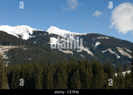 Una scena di foresta durante l inverno in Austria Foto Stock