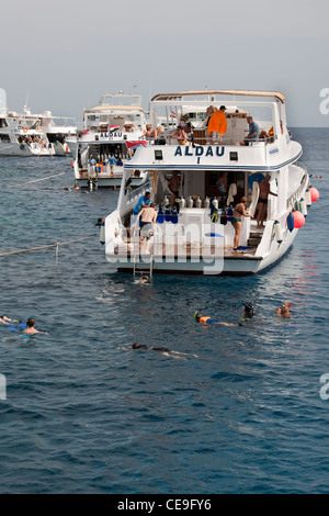 Lo snorkeling in Mar Rosso off Huguarda, Egitto, Africa. Foto Stock