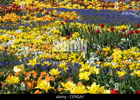 Un colorato display floreali catturata a Floriade, Canberra, Australia Foto Stock