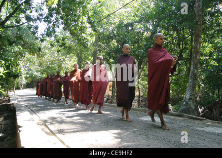 Una precessione dei giovani monaci buddisti di ritorno da una cerimonia Pindapata. Kogalla Tempio, a sud-ovest dello Sri Lanka Foto Stock