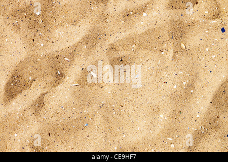 Sabbia closeup texture Foto Stock