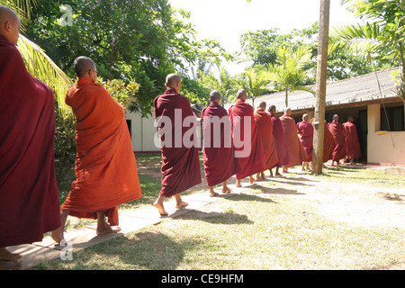 Una precessione dei giovani monaci buddisti di ritorno da una cerimonia Pindapata. Kogalla Tempio, a sud-ovest dello Sri Lanka Foto Stock