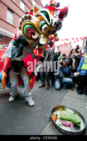 Anno Nuovo Cinese tradizione dove Lion fantoccio viene alimentato un alimento contenente busta rossa con denaro ( simboleggia la buona fortuna ) da restau Foto Stock