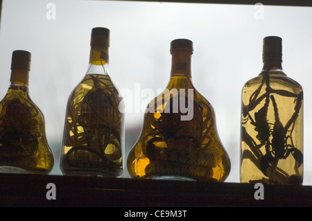 I vietnamiti sono forti i credenti nella medicina tradizionale cinese e si possono acquistare vino di serpente e Scorpion vino ovunque. Foto Stock