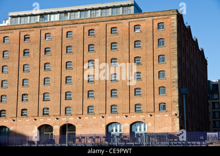 Ex vittoriano magazzino ferroviario(1867), ora 'Luogo' Apartment Hotel, Ducie Street, Piccadilly, City Centre, Manchester, Regno Unito Foto Stock