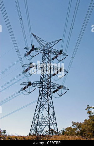 Un montante il supporto di linee elettriche in campagna nel sud di alpeggi del Nuovo Galles del Sud, Australia Foto Stock
