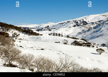 Una scena invernale in prossimità della pittoresca località sciistica di Guthega, nel Kosciuszko National Park, New South Wales, Australia Foto Stock