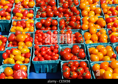 Cestini di rosso e arancio dei pomodori per la vendita. Molte pinte di piccole l'arancione e il rosso dei pomodori in pinta contenitori per la vendita ad un esterno di mercato degli agricoltori. Foto Stock