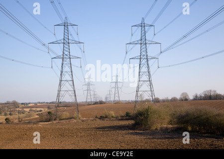 Linee di trasmissione di potenza tralicci attraversando campi nelle vicinanze Claydon, Suffolk, Inghilterra Foto Stock