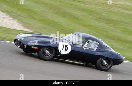 1962 Jaguar E-Type 'semi' leggero a basso attrito durante il Trofeo Fordwater gara al 2011 Goodwood, Sussex, Regno Unito. Foto Stock