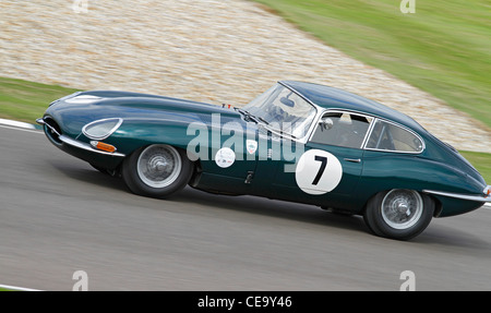 1961 Jaguar E-Type FHC durante il trofeo Fordwater al 2011 Goodwood, Sussex, Regno Unito. Foto Stock