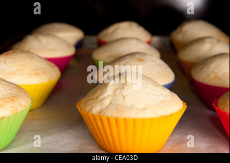 Righe di muffin tazze di cottura in forno. Foto Stock