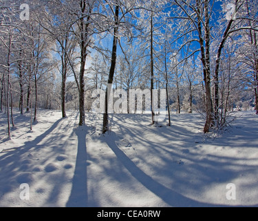 DE - Baviera: Winter Wonderland vicino a Bad Toelz Foto Stock