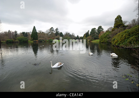 Sheffield Park Gardens e casa su un ottuso inverni di giorno in SUSSEX REGNO UNITO Foto Stock