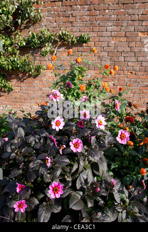 I giardini e la fattoria di packwood house warwickshire prese fom sentieri pubblici strade e accesso Foto Stock