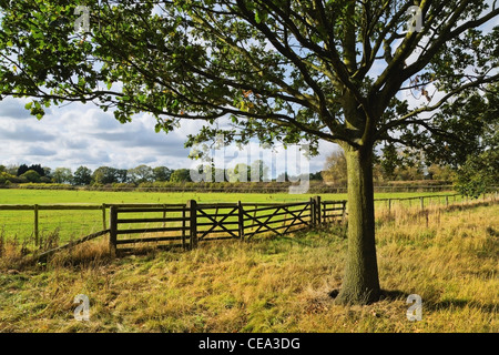 I giardini e la fattoria di packwood house warwickshire prese fom sentieri pubblici strade e accesso Foto Stock