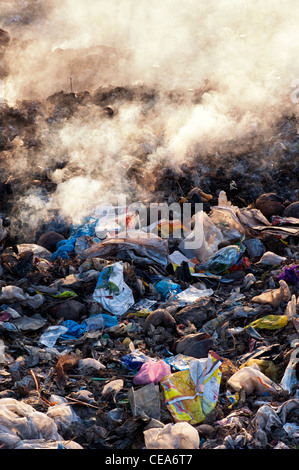 Rifiuti domestici vengono bruciate sul ciglio della strada in India Foto Stock