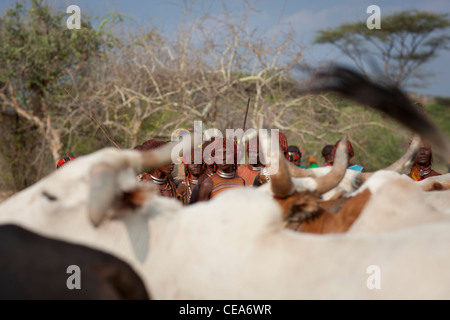 Hamer persone celebrare Bull Jumping cerimonia dalle tradizionali danze rituali e musica Valle dell'Omo Etiopia Foto Stock