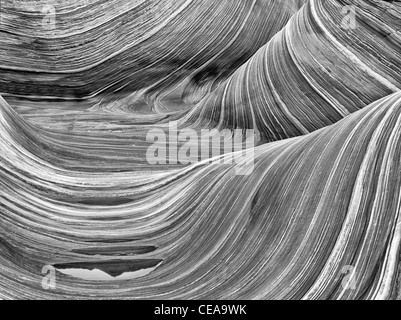 Formazione Sandtone e la piscina di acqua nel nord Coyote Buttes, l'onda. Paria Canyon Vermillion Cliffs Wilderness. Utah e Arizona Foto Stock