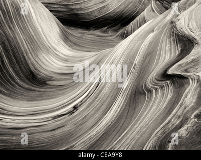 Formazione Sandtone in Nord Coyote Buttes, l'onda. Paria Canyon Vermillion Cliffs Wilderness. Utah e Arizona Foto Stock