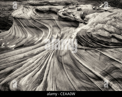 Formazione Sandtone in Nord Coyote Buttes, l'onda. Paria Canyon Vermillion Cliffs Wilderness. Utah e Arizona Foto Stock