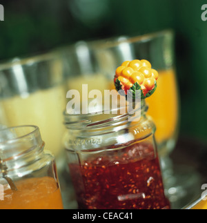 Ancora: lampone e confettura di albicocca in un glas Foto Stock