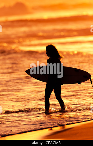 Sagome di Surfer sulla spiaggia al tramonto Foto Stock