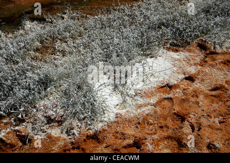 Ounianga Kebir lago, regione Erdi, Ciad Foto Stock