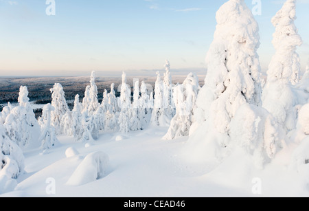 Snow-placcati viste Iso-Syöte, Finlandia Foto Stock