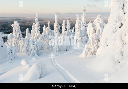 Snow-placcati viste Iso-Syöte, Finlandia Foto Stock