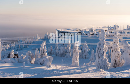 Snow-placcati viste Iso-Syöte, Finlandia Foto Stock