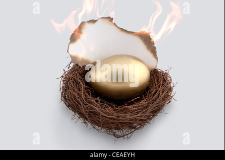 Un Golden Egg seduti in un nido di uccelli con un pezzo di carta in bianco la masterizzazione, che rappresentano i vostri risparmi che vanno in fumo Foto Stock