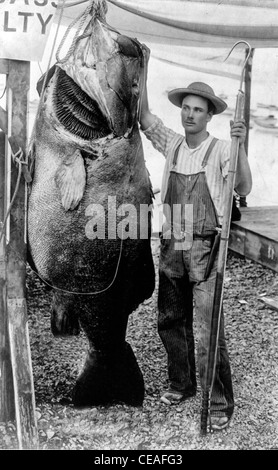 Il mondo di record black sea bass catturato da Giovanni I. Perkins, Isola Catalina, 3 Luglio 1905 Foto Stock