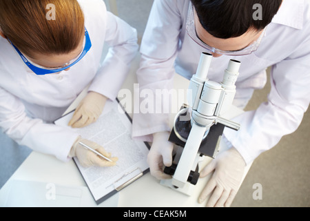Panoramica di due scienziati che lavorano insieme Foto Stock
