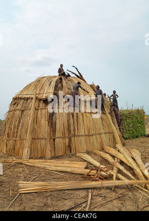Erbore le donne a costruire una casa, valle dell'Omo, Etiopia Foto Stock